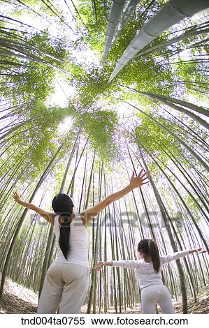 a mother and a dauther doing Yoga in a bamboo tree forest View Large Photo Image Stock Photography - a mother and a dauther doing Yoga in a bamboo tree forest. Fotosearch