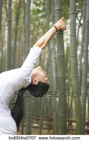 a stretching woman in bamboo trees View Large Photo Image Stock Photo - a stretching woman in bamboo trees. Fotosearch