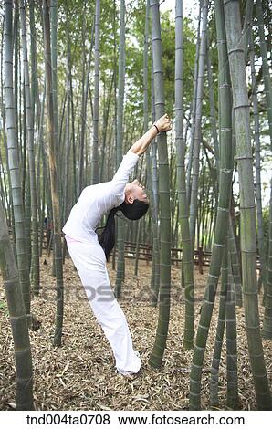 a stretching woman in bamboo trees View Large Photo Image Stock Photo - a stretching woman in bamboo trees. Fotosearch