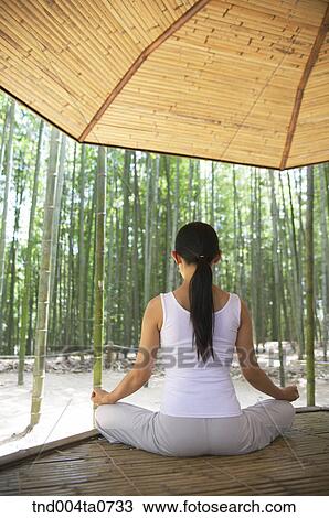 a woman doing Yoga at a pavilion in a bamboo tree forest View Large Photo Image Stock Image - a woman doing Yoga at a pavilion in a bamboo tree forest. Fotosearch