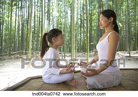 a woman doing Yoga at a pavilion in a bamboo tree forest View Large Photo Image Stock Image - a woman doing Yoga at a pavilion in a bamboo tree forest. Fotosearch