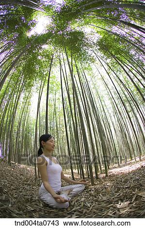 a woman doing Yoga at a pavilion in a bamboo tree forest View Large Photo Image Stock Image - a woman doing Yoga at a pavilion in a bamboo tree forest. Fotosearch