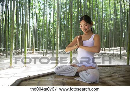 a woman doing Yoga at a pavilion in a bamboo tree forest View Large Photo Image Stock Photo - a woman doing Yoga at a pavilion in a bamboo tree forest. Fotosearch