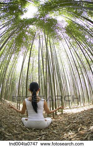 a woman doing Yoga at a pavilion in a bamboo tree forest View Large Photo Image Stock Photo - a woman doing Yoga at a pavilion in a bamboo tree forest. Fotosearch