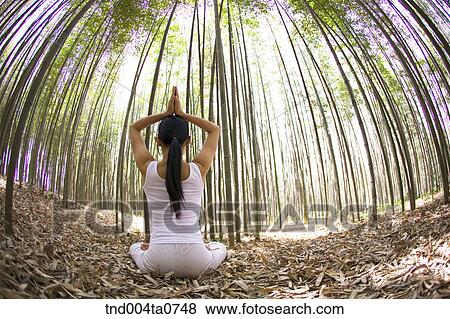 a woman doing Yoga at a pavilion in a bamboo tree forest View Large Photo Image Stock Photo - a woman doing Yoga at a pavilion in a bamboo tree forest. Fotosearch