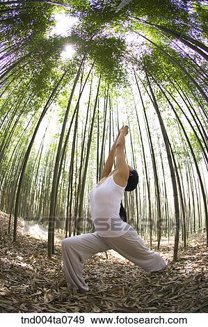 a woman doing Yoga at a pavilion in a bamboo tree forest View Large Photo Image Stock Photo - a woman doing Yoga at a pavilion in a bamboo tree forest. Fotosearch