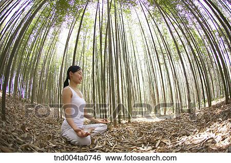 a woman doing Yoga at a pavilion in a bamboo tree forest View Large Photo Image Stock Photograph - a woman doing Yoga at a pavilion in a bamboo tree forest. Fotosearch