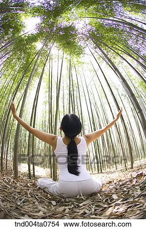 a woman doing Yoga in a bamboo tree forest View Large Photo Image Picture - a woman doing Yoga in a bamboo tree forest. Fotosearch