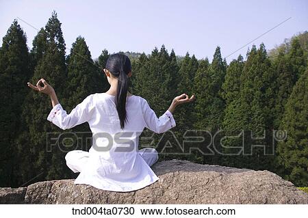 a woman doing Yoga in a bamboo tree forest View Large Photo Image Stock Image - a woman doing Yoga in a bamboo tree forest. Fotosearch
