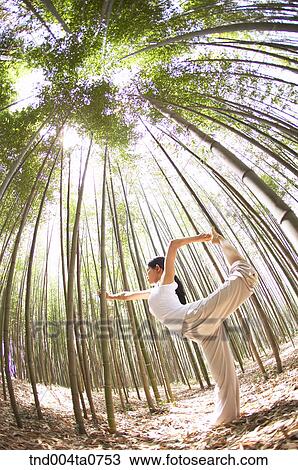 a woman doing Yoga in a bamboo tree forest View Large Photo Image Stock Image - a woman doing Yoga in a bamboo tree forest. Fotosearch