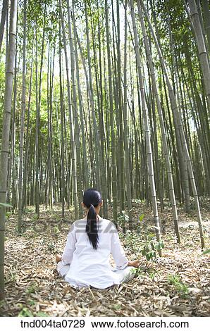 a woman doing Yoga in a bamboo tree forest View Large Photo Image Stock Photo - a woman doing Yoga in a bamboo tree forest. Fotosearch