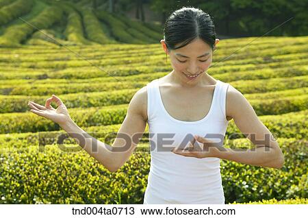 Stock Image - a woman doing Yoga in a tea field. Fotosearch