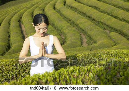 Stock Photo - a woman doing Yoga in a tea field. Fotosearch