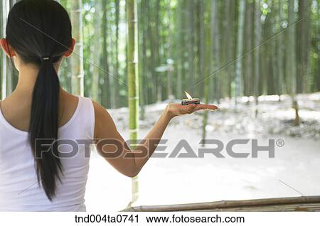 a woman holding aromatic candles in a bamboo tree forest View Large Photo Image Stock Image - a woman holding aromatic candles in a bamboo tree forest. Fotosearch
