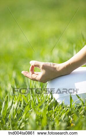 Stock Image - Yoga/ a woman doing yoga. Fotosearch