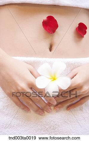 body/ a woman's body View Large Photo Image Stock Photo - body/ a woman's body. Fotosearch