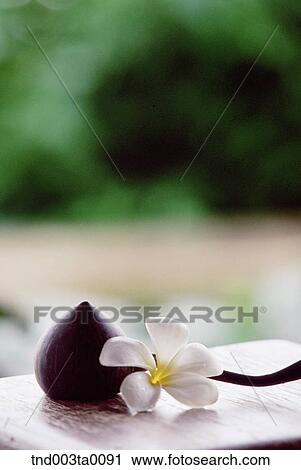 spa/ hot stones and flowers View Large Photo Image Stock Image - spa/ hot stones and flowers. Fotosearch