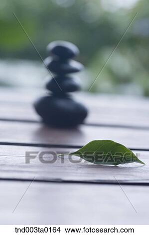 a leaf and pebbles View Large Photo Image Picture - a leaf and pebbles. Fotosearch