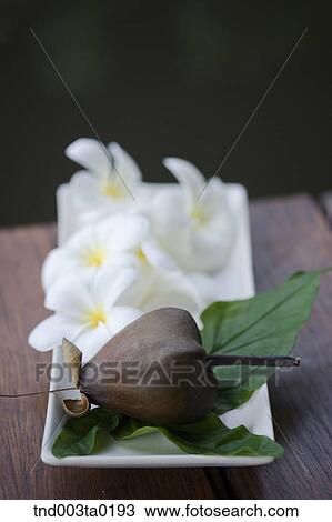 Stock Image - flowers and fruits. Fotosearch