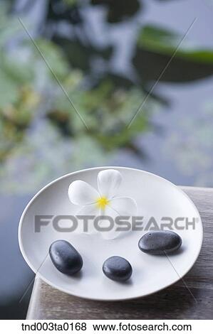 flowers and pebbles View Large Photo Image Stock Photo - flowers and pebbles. Fotosearch