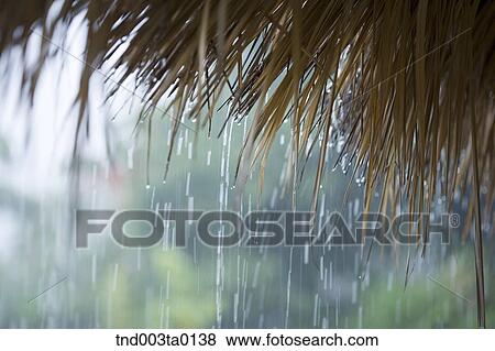 nature, a hut and rain View Large Photo Image Stock Photo - nature, a hut and rain. Fotosearch