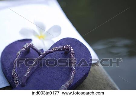 sandles and white flowers View Large Photo Image Stock Photo - sandles and white flowers. Fotosearch