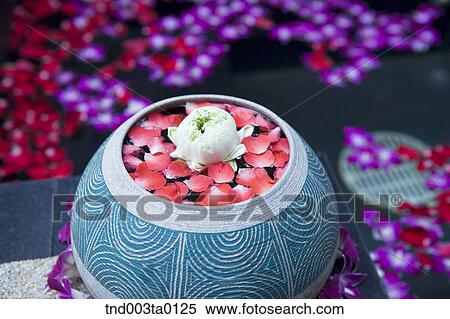 spa, flowers in a pot View Large Photo Image Stock Photography - spa, flowers in a pot. Fotosearch
