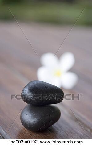 spa, pebble and white flowers View Large Photo Image Stock Image - spa, pebble and white flowers. Fotosearch
