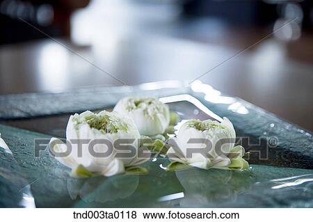 spa, white flowers View Large Photo Image Stock Photo - spa, white flowers. Fotosearch