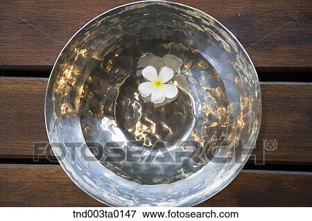 white flowers View Large Photo Image Stock Photo - white flowers. Fotosearch