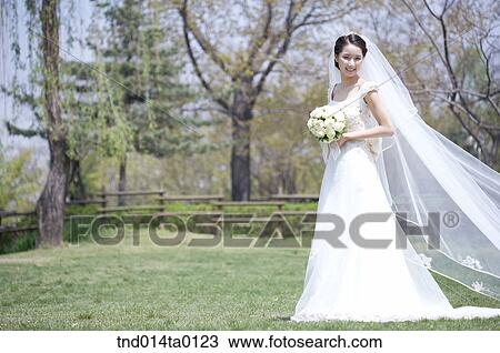 Wedding, a bride holding a bouquet View Large Photo Image Stock Image - Wedding, a bride holding a bouquet. Fotosearch