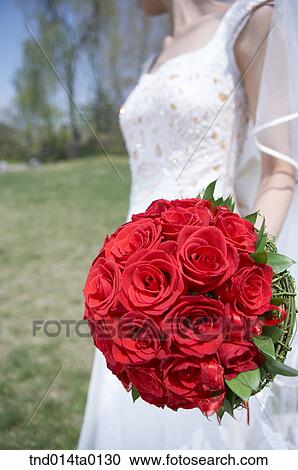 Wedding, a bride holding a bouquet View Large Photo Image Stock Image - Wedding, a bride holding a bouquet. Fotosearch