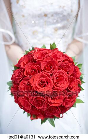 Wedding, a bride holding a bouquet View Large Photo Image Stock Image - Wedding, a bride holding a bouquet. Fotosearch