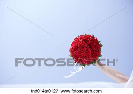 Wedding, a bride holding a bouquet View Large Photo Image Stock Photo - Wedding, a bride holding a bouquet. Fotosearch
