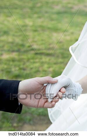 Wedding, a bridegroom and a bride View Large Photo Image Picture - Wedding, a bridegroom and a bride. Fotosearch