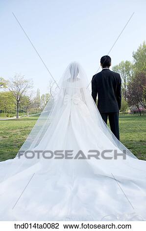 Wedding, a bridegroom and a bride View Large Photo Image Stock Image - Wedding, a bridegroom and a bride. Fotosearch