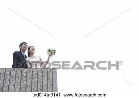 Wedding, a bridegroom and a bride View Large Photo Image Stock Image - Wedding, a bridegroom and a bride. Fotosearch