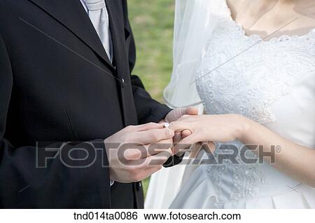 Wedding, a bridegroom and a bride View Large Photo Image Stock Photograph - Wedding, a bridegroom and a bride. Fotosearch