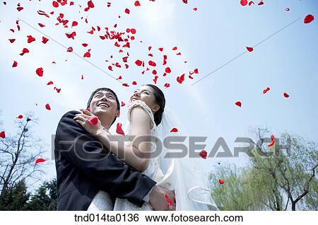 Wedding, a bridegroom and a bride View Large Photo Image Stock Photograph - Wedding, a bridegroom and a bride. Fotosearch