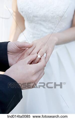Wedding, a bridegroom and a bride View Large Photo Image Stock Photography - Wedding, a bridegroom and a bride. Fotosearch