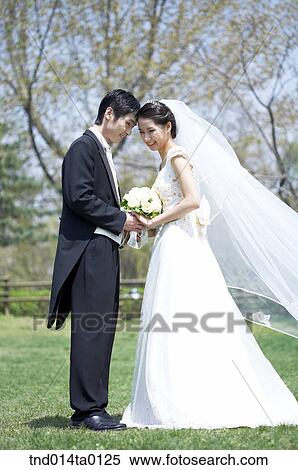 Wedding, a bridegroom and a bride View Large Photo Image Stock Photography - Wedding, a bridegroom and a bride. Fotosearch