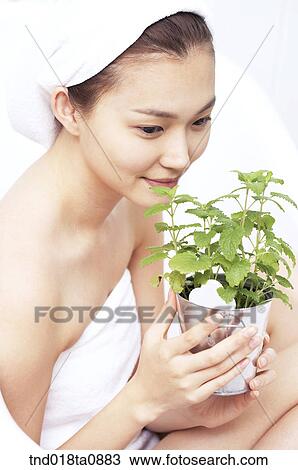 woman smelling aroma of herb View Large Photo Image Stock Image - woman smelling aroma of herb. Fotosearch