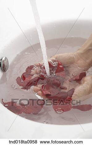 Stock Photo - aroma theraphy, man washing hands in the basin. Fotosearch