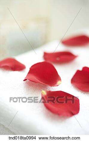 aroma theraphy, petals on the towel View Large Photo Image Picture - aroma theraphy, petals on the towel. Fotosearch