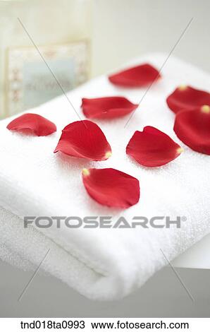 aroma theraphy, petals on the towel View Large Photo Image Stock Image - aroma theraphy, petals on the towel. Fotosearch