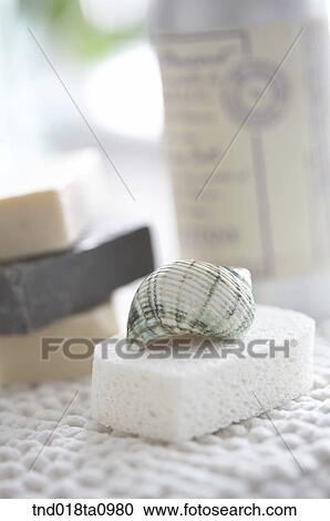 bath items/ shell and spongee View Large Photo Image Stock Image - bath items/ shell and spongee. Fotosearch