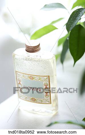 one bottle of cologne View Large Photo Image Stock Image - one bottle of cologne. Fotosearch