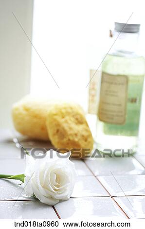 rose and sponge for bathing use View Large Photo Image Stock Image - rose and sponge for bathing use. Fotosearch