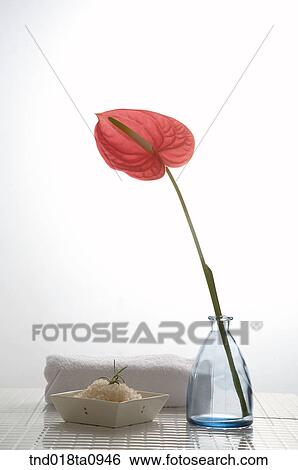 salt and towel for cosmetic usee View Large Photo Image Stock Photograph - salt and towel for cosmetic usee. Fotosearch