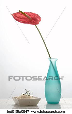 Stock Photo - salt for cosmetic use and vases. Fotosearch